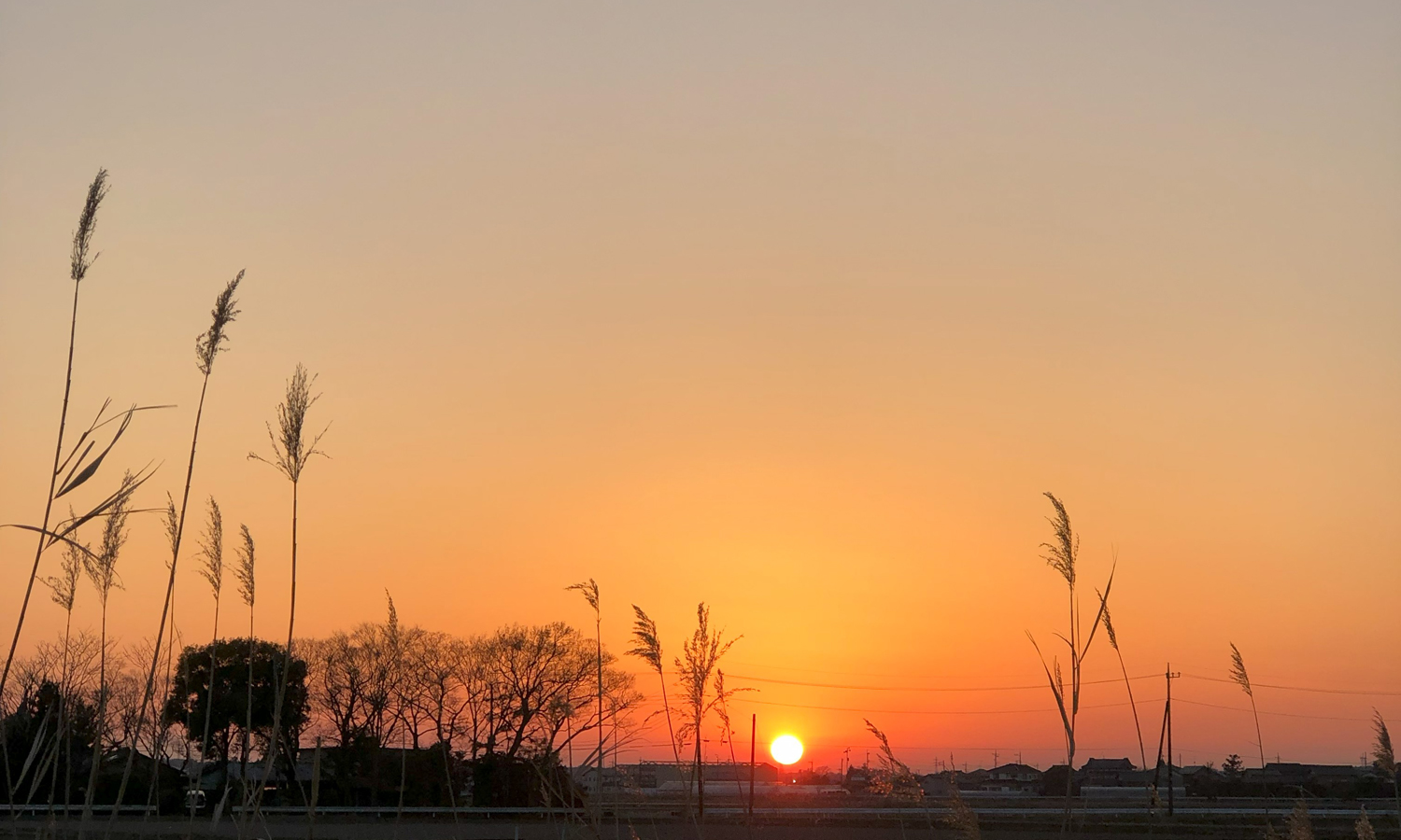 車窓からの夕日